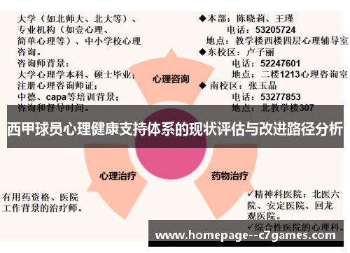 西甲球员心理健康支持体系的现状评估与改进路径分析