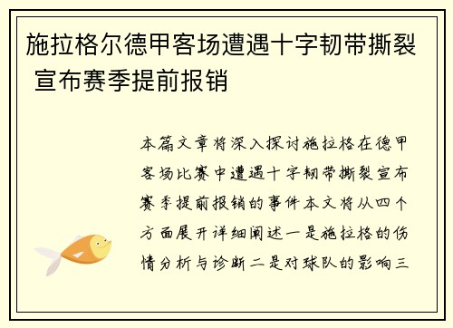 施拉格尔德甲客场遭遇十字韧带撕裂 宣布赛季提前报销